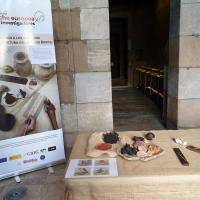 El proyecto Djehuty abre su 'escuela de escribas' en el Templo de Debod para celebrar la Noche de los investigadores en Madrid